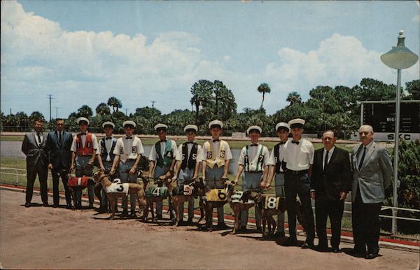 All ready to line up for one of the big races at Sarasota Kennel Club Florida