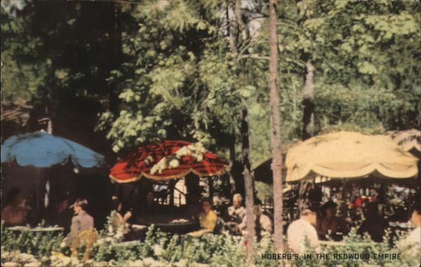The Patio near Buffet - Hoberg's Among the Pines Cobb California