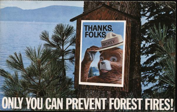 Only You Can Prevent Forest Fires! Advertising