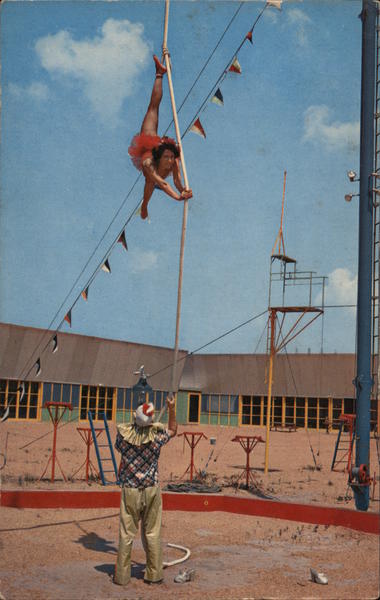 Aerialist in Action Sarasota Florida