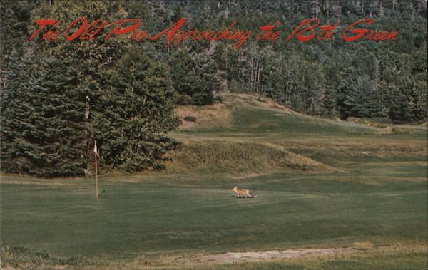 The Old Pro Approaching the 18th Green Golf