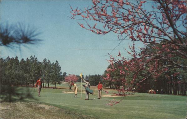 Pinehurst Country Club, No. 2 Course, The 12th Green, 13th Hole in Background North Carolina
