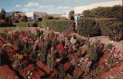 The Arizona Inn Postcard