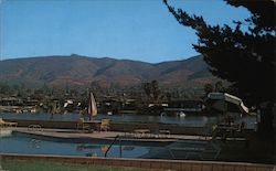 Quails Inn Motel Postcard