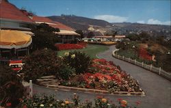 Laguna Beach, California Postcard