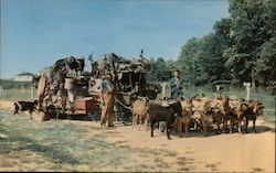 Chess McCartney's Goat Caravan Jefferson, GA Postcard Postcard Postcard