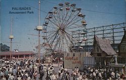 Palisades Amusement Park New Jersey Postcard Postcard Postcard