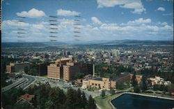 Birdseye View Postcard