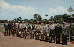 All ready to line up for one of the big races at Sarasota Kennel Club Florida Postcard Postcard Postcard