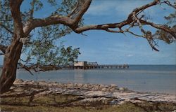 Relax and Enjoy Bokeelia Postcard