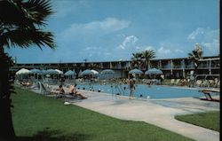 The Seahorse Motel Galveston, TX Postcard Postcard Postcard