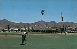 Sun City, California Postcard Postcard Postcard