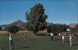 Arizona Biltmore Hotel - 18 hole Championship Golf Course right at your door Postcard