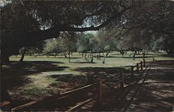 Lawrence Welk's Country Club Village and Golf Course Postcard
