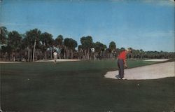 Sea Pines Plantation Golf Course Postcard