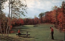 Golf at Buck Hill Falls Pennsylvania Postcard Postcard Postcard