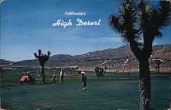 California's High Desert Yucca Valley, CA Postcard Postcard 