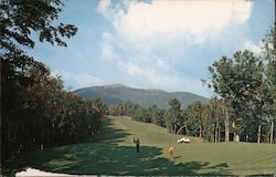 12th Green and Fairway, Wolf Laurel Development Postcard