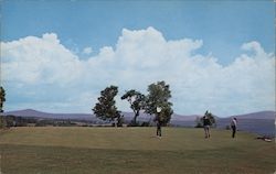 Golfing at Rangeley, Maine Postcard