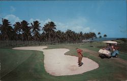Famous Eagle the Tenth Hole at Dorado Hilton Championship Golf Course Postcard
