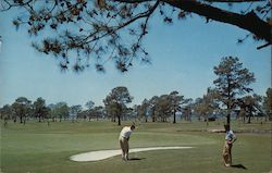 Chipping to the 7th Green, Myrtle Beach Golf Course Postcard