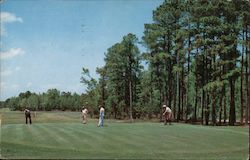 Golfers, At Marine Corps Base Postcard