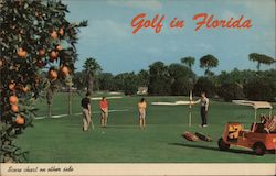 Golf in Florida Postcard Postcard Postcard
