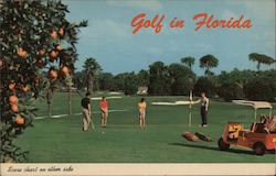 Golf in Florida Postcard