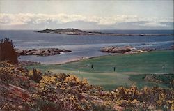 Oak Bay Golf Course Postcard