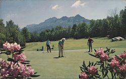 Grandfather Golf and Country Club Postcard