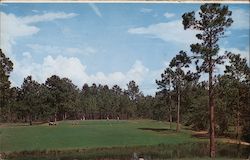 Forest Heights Country Club Postcard