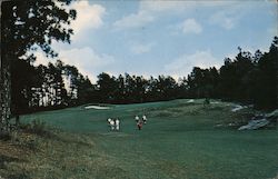 14th Hole, Number 3 Course Postcard