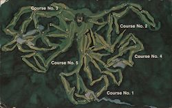 Pinehurst, North Carolina Postcard