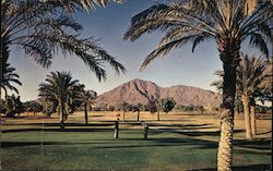 Golfing in the "Valley of the Sun" Arizona Postcard