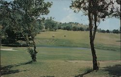 Fountain Valley Golf Course Postcard