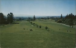 Pasatiempo Golf Course Postcard