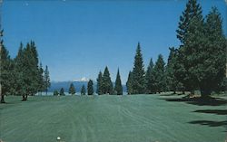 The Lake Almanor Golf Club Postcard