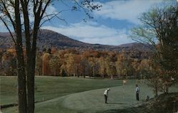 Dorset Field Club Postcard