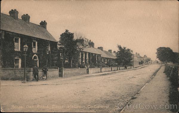 Royal Oak Road Bagenalstown Ireland