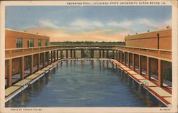 Swimming Pool, Louisiana State University Postcard