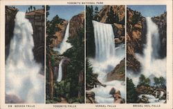 Falls of Yosemite National Park California Postcard Postcard Postcard