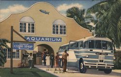 Municipal Aquarium Postcard