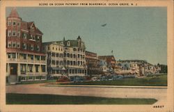 Scene on Pathway from Boardwalk Postcard