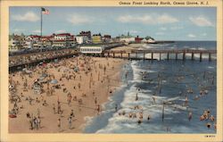 Ocean Front looking North Postcard