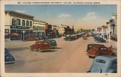 College Avenue - Bustiness Section Postcard