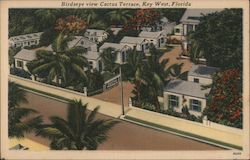 Birdseye View Cactus Terrace Postcard