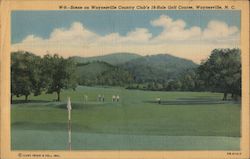 Scene on Waynesville Country Club's 18 hole Golf Course Postcard