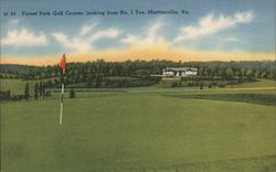 Forest Park Golf Course, Looking From No. 1 Tee Martinsville, VA Postcard Postcard Postcard