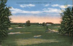 Palm Beach Country Club Florida Postcard Postcard Postcard