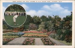 Rose Garden and Golf Course in Ella Sharp Park Postcard